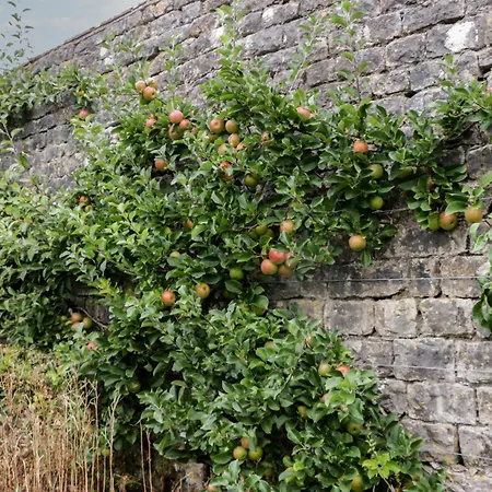 بيت للعطل The Gameskeepers كارتميل